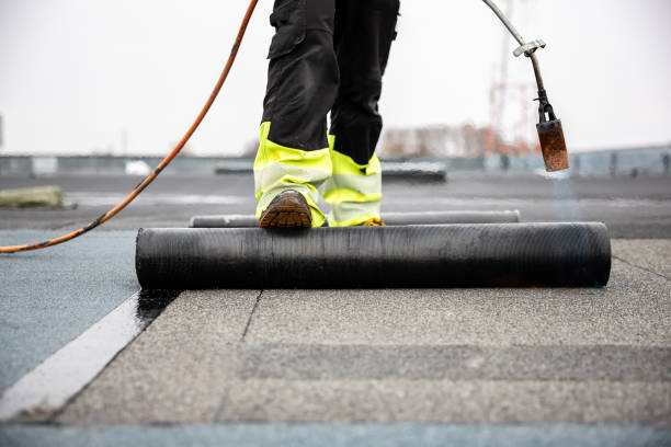 Best Roof Coating and Sealing  in Timonium, MD